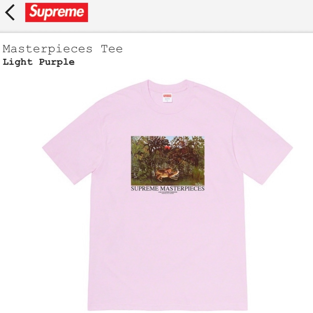 NWT supreme masterpiece tee small
